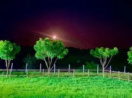 Haras Ncx