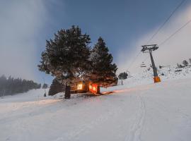 Panorama Krvavec Ski-in, Ski-out, cottage in Cerklje na Gorenjskem