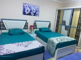 Cozy Nile view apartment