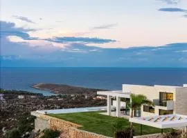 Blue Olive Luxury Villa