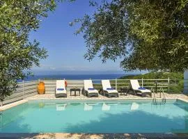 Lioniskari Seaviews - Paxoi's Private Pool Oasis