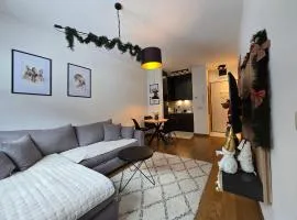 Apartman Sihrovski - Vila Pekovic Blue Zlatibor