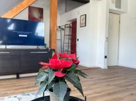 Apartament Salzburg mit Untersberg Ausblick