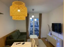 Cozy one bedroom apartment