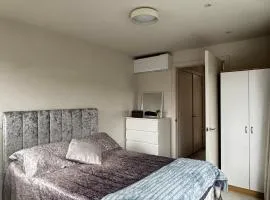 Lovely and modern room in London City