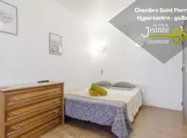 Chambre Saint Pierre - Hypercentre
