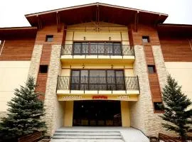 Horizont Bakuriani Apartment 30