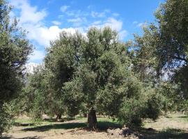 ANVE OLIVE TiNY HOUSE, миниатюрна къща в Бурхание