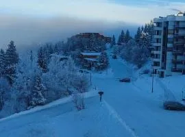 Chamrousse 1750 Studio 4 personnes 29m2