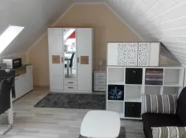 1 Zimmer Apartment mit Kochecke und Bad