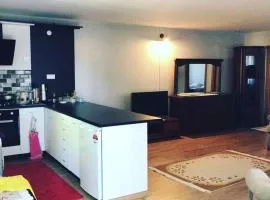 Rahat bahçeli polonezköyde butik evimiz
