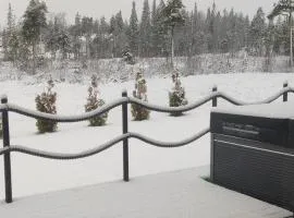 Nordic Villa with jakuzzi