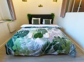 HYPER CENTRE A 100 M DES REMPARTS VEILLE VILLE , possible tout faire à pieds