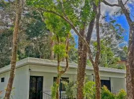 Monteverde Magic Mountain