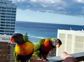 Top of The Mark - Top floor Apartment & Parking