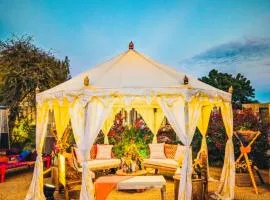 Desert Overnights Luxurious Camp And Resort