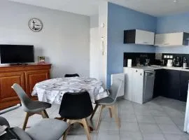 Studio moderne à Plouhinec, WIFI, parking, animaux acceptés - FR-1-479-184