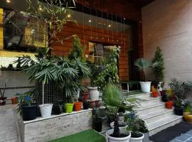 #The Vaikunth# Mcleodganj# Dhauladhaar View# Big free Parking# Ac rooms Centrally#Elevator#Soundproof rooms#