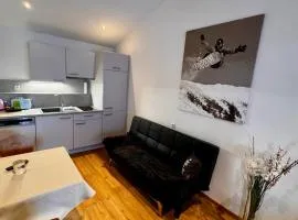Kleine, nette Ferienwohnung, nahe Lift!