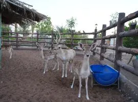 Wild farm Football, Jacuzzi, BBQ Sharjah Khor fakkan