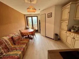 Charmant T2 proche pistes avec parking et balcon - FR-1-787-79