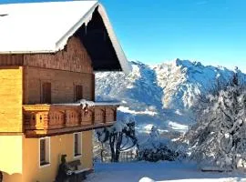 Panorama Chalet mit Sauna Höllmaishof