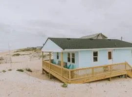 NH337C Coastal Dunes 3
