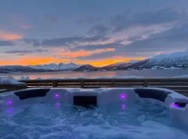 Aurora panorama