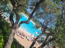 Rev'Azur Saint Raphaël