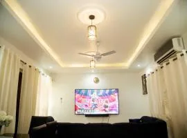 KIN ZIGGY's APT