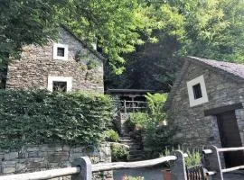 Rustico Gatto & Topolino by Fewotessin