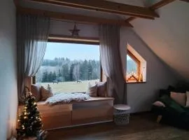Apartmán Schwaderbach