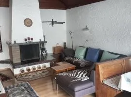 Apartment Birkenstrasse 54 Engelberg