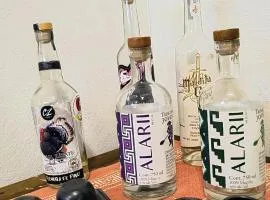 Monte Alban y Mezcal