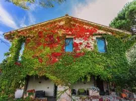 Farmhouse in Marsciano with vineyards olive groves