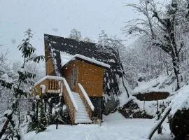 Thoma's hut-თომას ქოხი