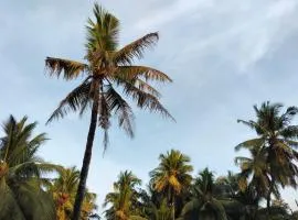 Delta Paradise