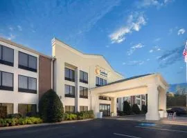 Comfort Inn & Suites Dahlonega University Area