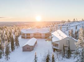 Frost Chalet Ski-in Ski-out by Aavalevi，列維的木屋