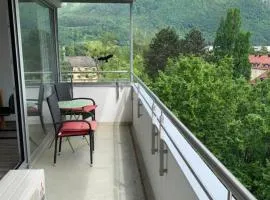 501, Schlafzimmer, Wohnzimmer, Küche und Bad mit Bergblick