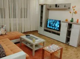 Star Apartment Belgrade 1