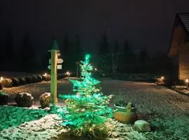 Leśna Przystań - Domki całoroczne