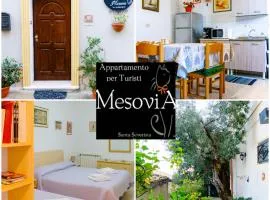Appartamento per Turisti Mesovia