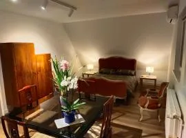 Les vignobles d'Alsace