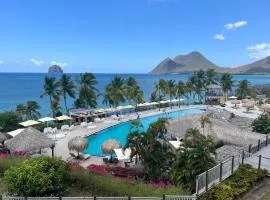 Expérience de rêve en Martinique