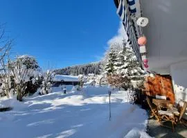 Half chalet 2 min from ski bus