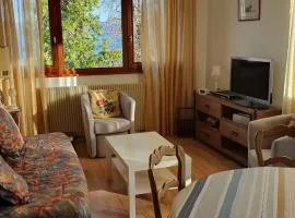 Charmant appartement proche du lac avec Wi-Fi et parking à Évian-les-Bains - FR-1-498-96
