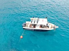 Solid Surf Villa Mentawai
