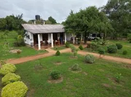 Sigiri Arana Sigiriya
