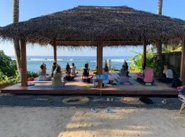 Tahini and Friends Surf, Yoga & Wellness